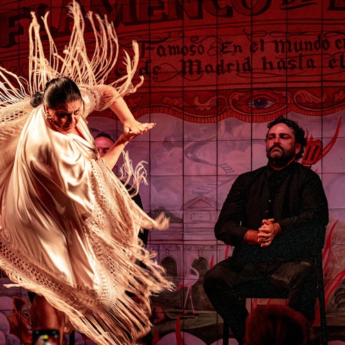Madrid: Espectáculo Flamenco en Flamenco de Leones + Cena
