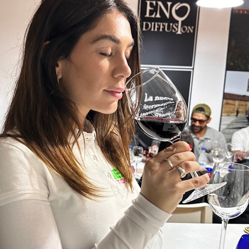 Toledo: Visita guiada de la ciudad + Traslado desde Madrid + Degustación de Vino y Tapas
