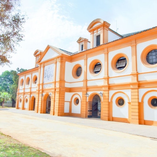 Real Escuela Andaluza de Arte Ecuestre: "Cómo bailan los caballos andaluces"