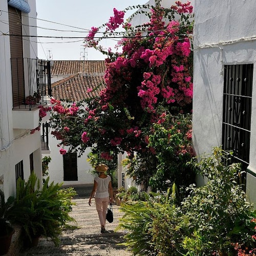 Costa Tropical y Cueva de Nerja: Excursión de un día desde Granada + Comida