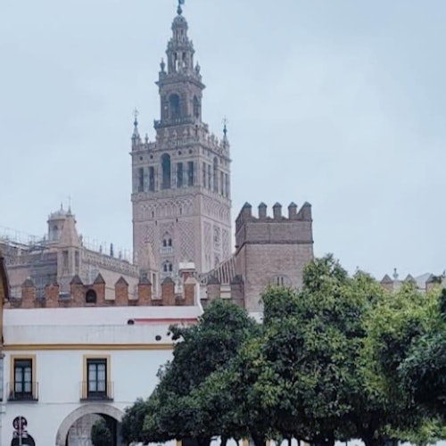 Santa Cruz Sevilla: Visita guiada a pie