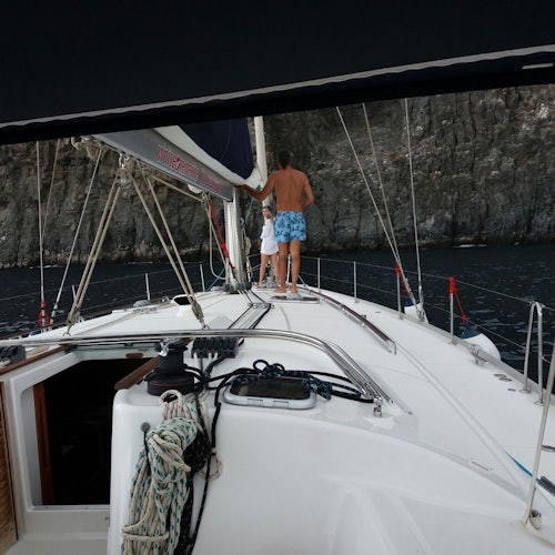 Tenerife: Excursión de 3 horas en velero para avistar ballenas y delfines con bocadillo y bebidas