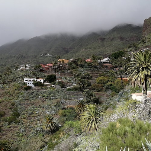 Parque Nacional del Teide, Icod de los Vinos, Garachico y Masca: Excursión guiada