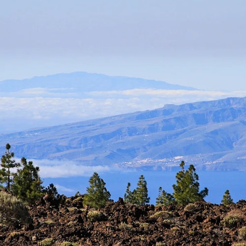 Tenerife: Excursión guiada de medio día al Parque Nacional del Teide