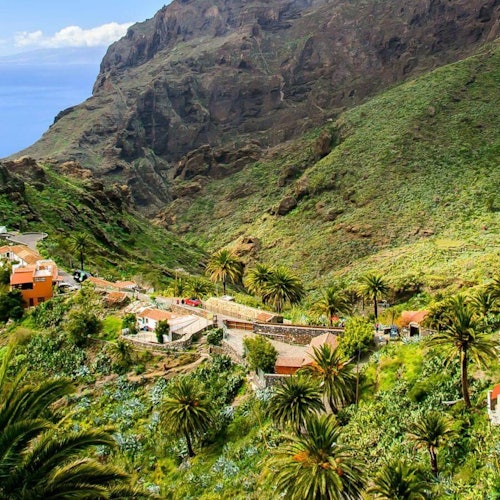 Masca & Teno: Small Group Guided Tour + Transfer + Tasting