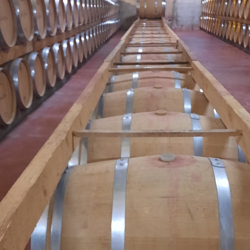 Mallorca: Visita guiada a Bodegas y Almazara + Catas + Traslado de ida y vuelta