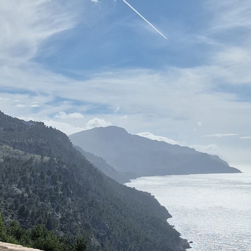 Mallorca: Valle de los Naranjos y Valldemossa Visita Guiada + Recogida en el Hotel + Degustación