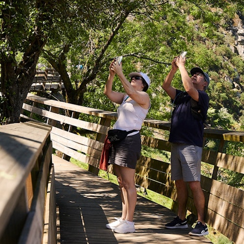 516 Arouca Bridge & Paiva Walkways: Guided Tour from Porto + Lunch