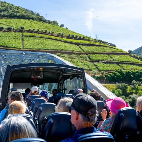 Douro Valley, Amarante & Régua: Day Trip + River Cruise & Wine Tasting