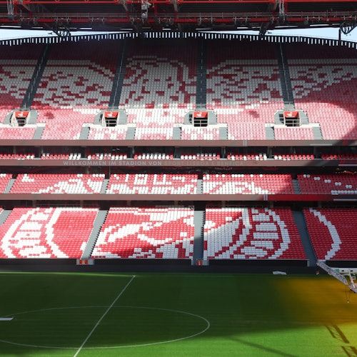 Estádio da Luz & Benfica Museum: Entry Ticket + Wine Tasting + Scarf Offer