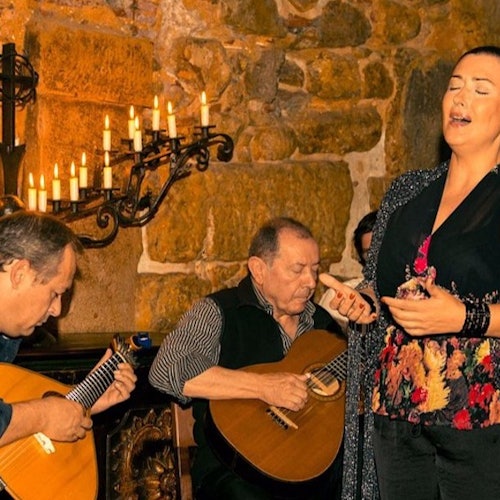 Lisbon: Small-Group Evening City Tour, Dinner and Fado Show with Transportation