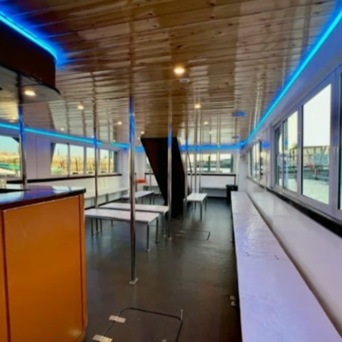 Lisbon: Guided Dolphin Watching Cruise + Open Bar