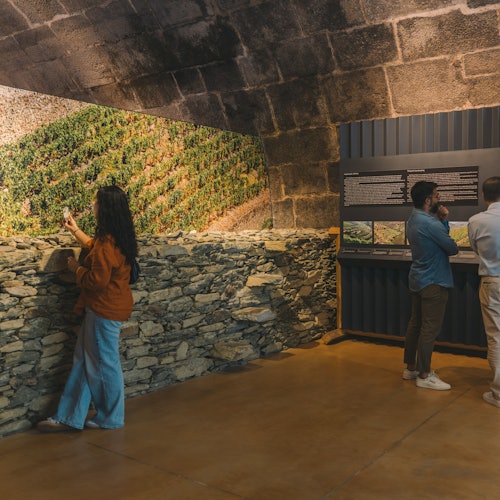 Bodega de Vino de Oporto Fonseca: Visita Autoguiada + Degustación