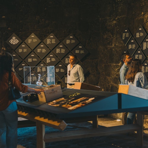 Fonesca Port Wine Cellar: Guided Tour & Tasting + Fado Show