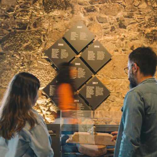 Fonesca Port Wine Cellar: Guided Tour & Tasting  + Dinner + Fado Show