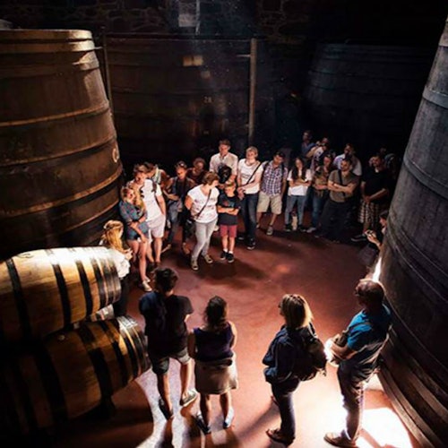 Cálem Caves: Guided Tour with Fado Show and Wine