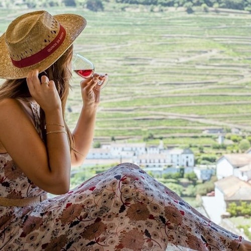 Douro Valley: River Cruise + Vineyard Tour & Lunch