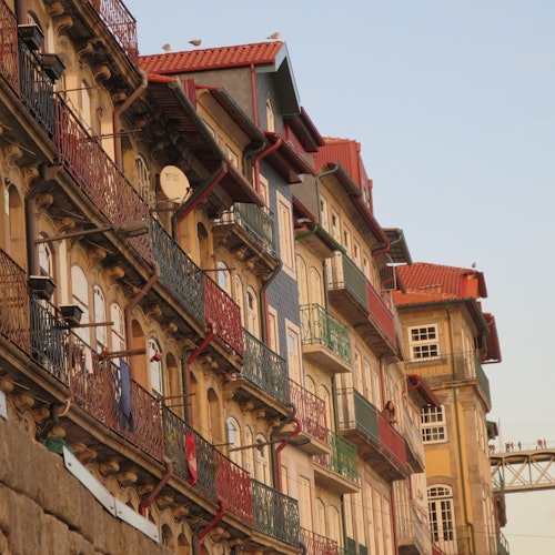 Porto: Guided Walking Tour + Lunch + Wine Tasting + Boat Ride