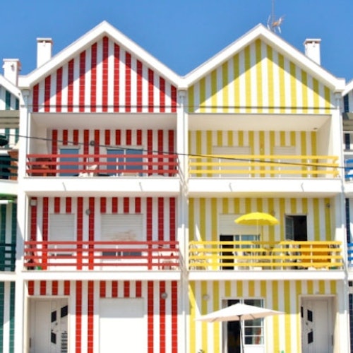 Aveiro: Half Day Tour from Porto with Boat Ride