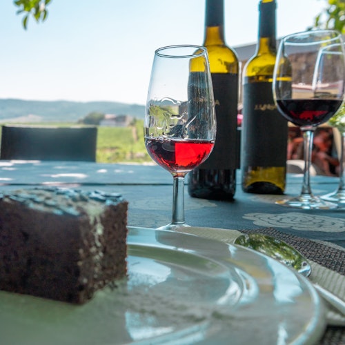 Douro Valley: Day Trip + River Cruise & Lunch from Porto