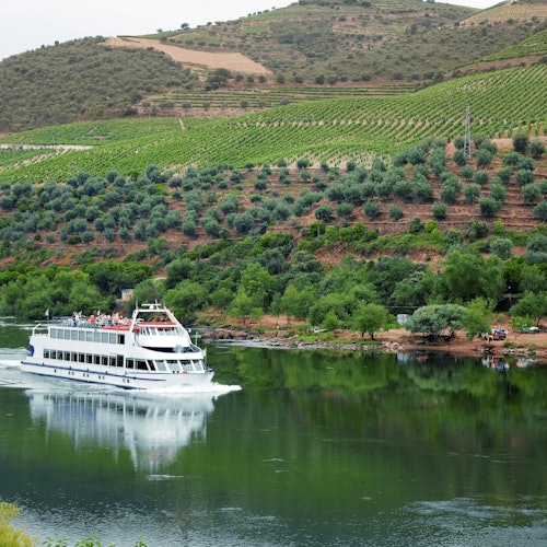 Douro Valley: River Cruise + Breakfast & Lunch from Porto