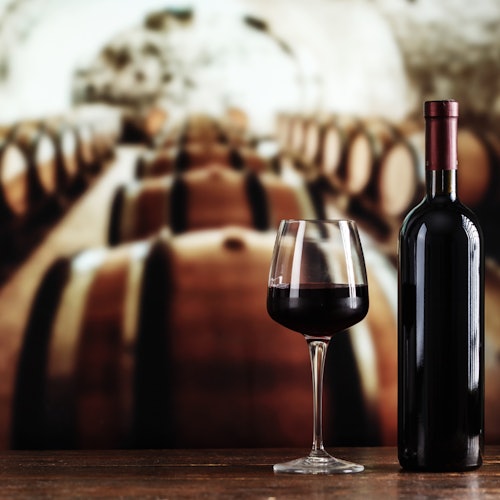 Oporto: Visita de medio día en autobús con cata de vinos de Oporto + Crucero