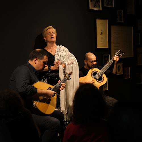 Porto: Traditional Fado Show