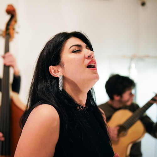 Porto: Fado Concert in Casa da Guitarra with Port Wine