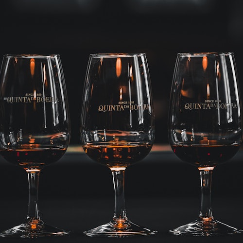 Porto: Fado Show + Port Wine Tasting at Quinta da Boeira