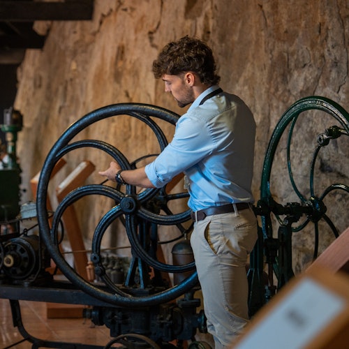 Porto: Guided Tuk Tuk City Tour + Visit to Port Wine Cellar with Tastings