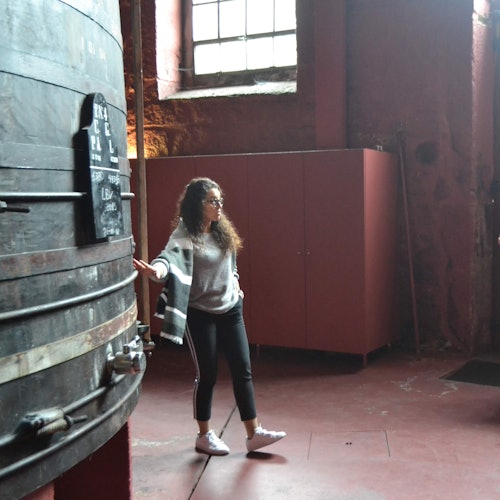 Porto: Guided Wine Tour + Tastings