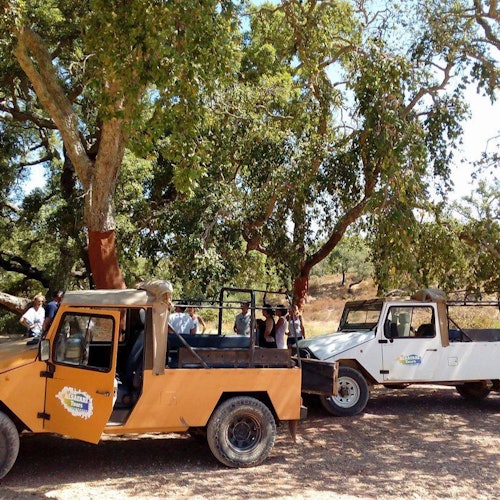 Algarve: Excursión en Jeep Safari al Atardecer con Cena