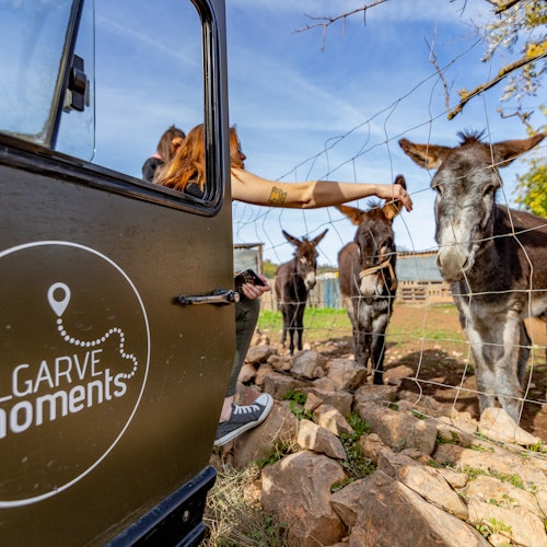 Algarve: Excursión en Jeep Safari de Medio Día o Día Completo