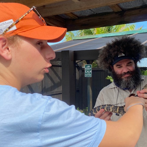 Everglades: Excursión de 30 minutos en hidrodeslizador, espectáculo de fauna salvaje y transporte desde Miami