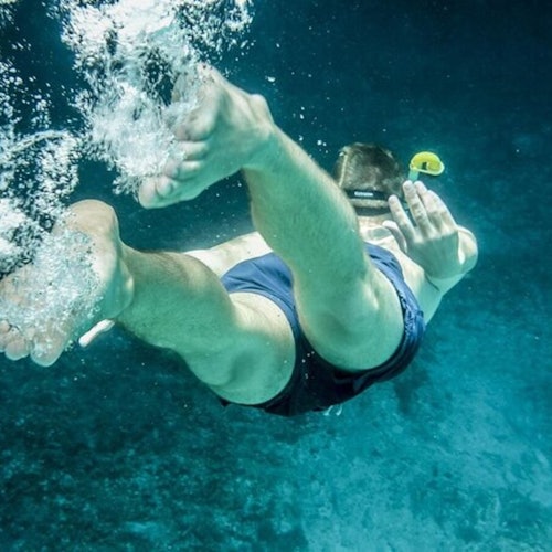 Bahía de Biscayne: Aventura guiada de snorkel desde Miami