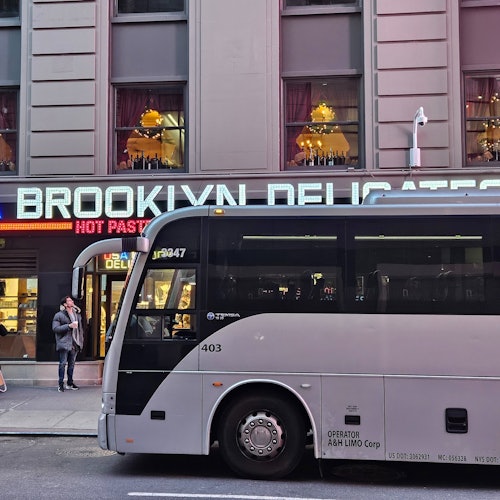 Dyker Heights Luxury Holiday Lights Tour & Hot Cocoa