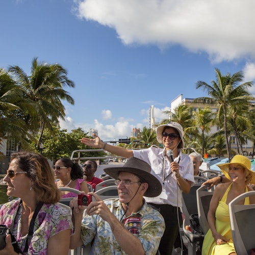Everglades Holiday Park: Half-Day Trip from Miami with Entry + Transport