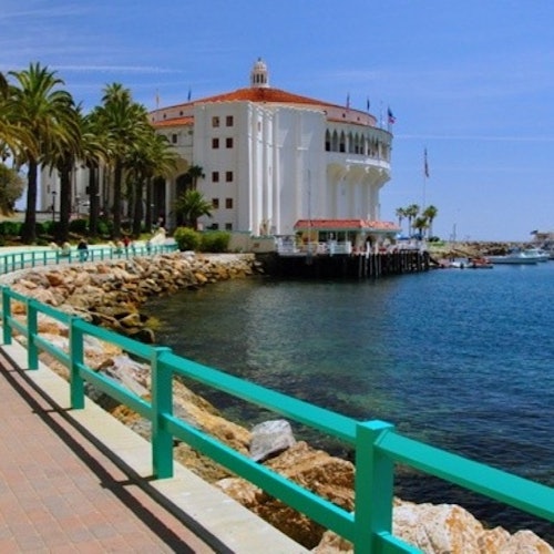 Isla Catalina: Excursión de un día + Recorrido panorámico en coche