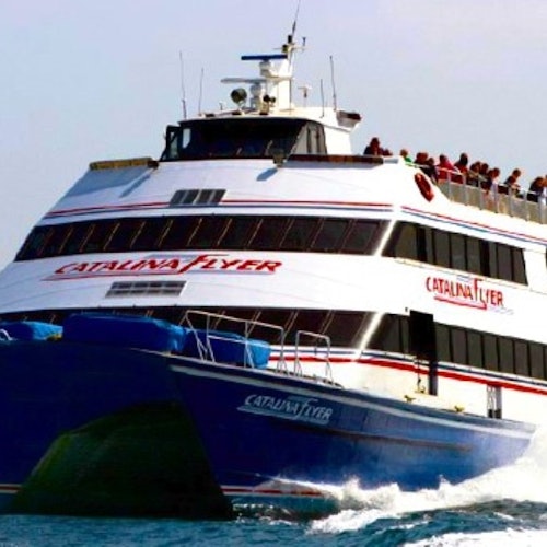 Isla Catalina: Excursión de un día con traslado al hotel