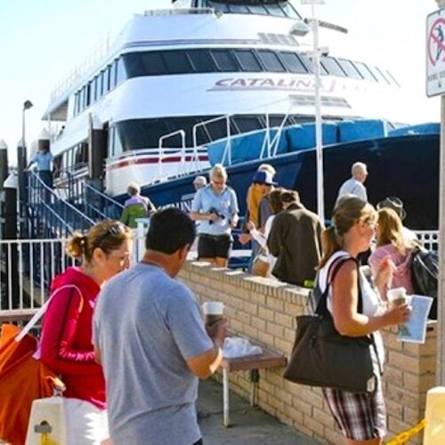Isla Catalina: Excursión de un día con Expedición Submarina
