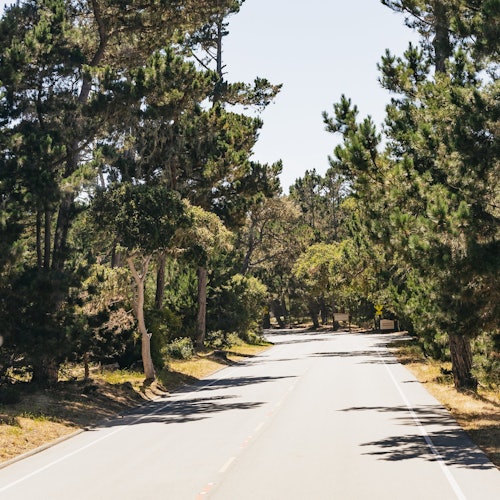 Desde San Francisco: Excursión de un día a Monterey y Carmel by the Sea