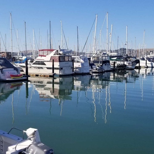 Muir Woods y Sausalito: Excursión de medio día desde San Francisco