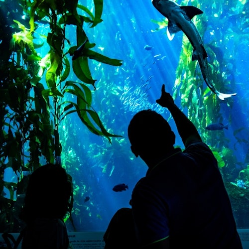 Steinbeck's Cannery Row Monterey: Visita audioguiada