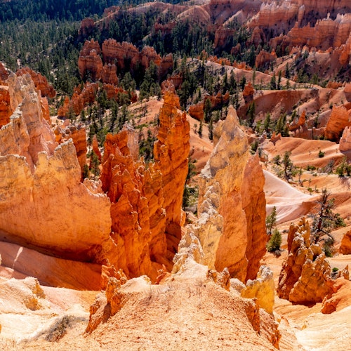 From Las Vegas: Bryce Canyon & Zion National Parks Day Tour with Lunch