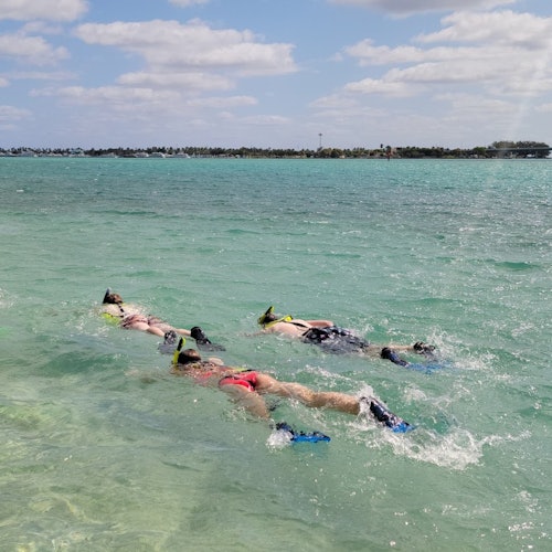 Miami: Excursión de snorkel por la isla en SUP o Kayak