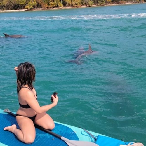 Miami: Exploración de la Naturaleza y las Islas en SUP/Kayak
