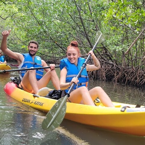 Jungla de Manglares: Aventura SUP/Kayak + Bebidas