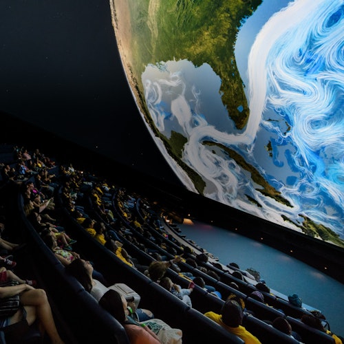Museo de la Ciencia, Acuario y Planetario Phillip & Patricia Frost: Entrada