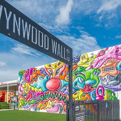 Miami: Wynwood Walls Street Art + Guided Walking Tour