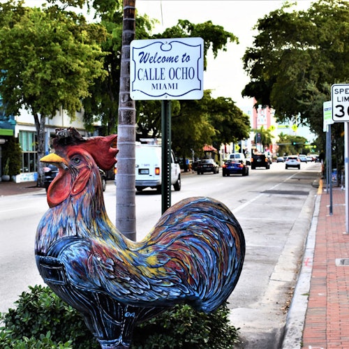 Little Havana: Self-Guided Tour